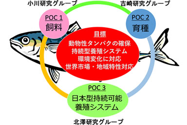 目標